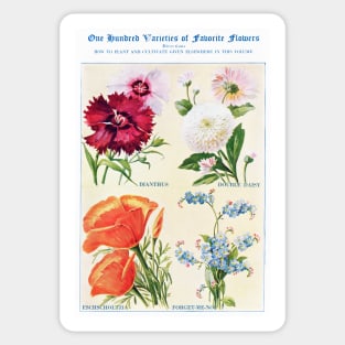 Flower watercolor illustration (1915) Sticker